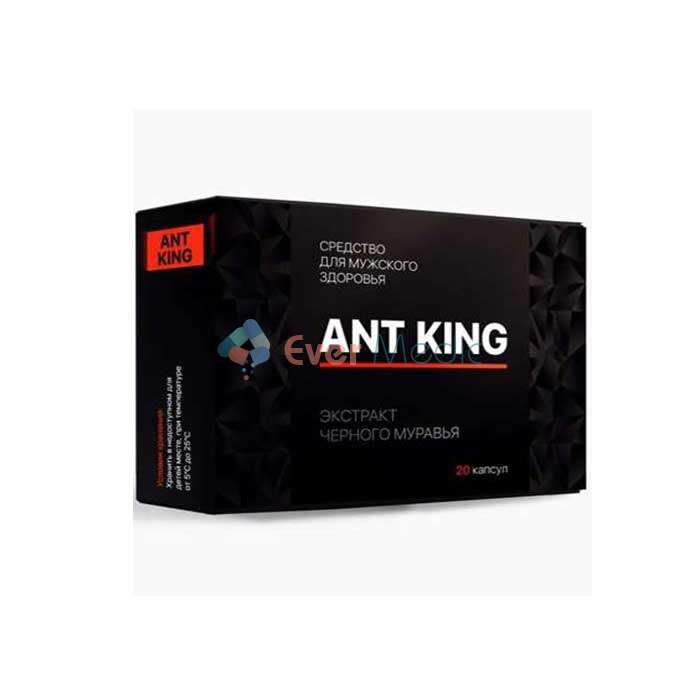 Ant King (Ант Кинг) в России